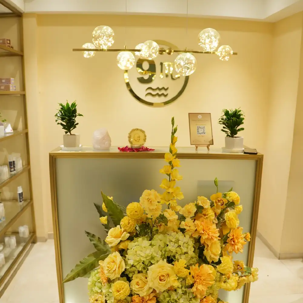 9Muses Wellness Clinic Gurugram